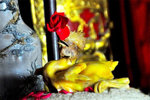 Bí quyết luộc gà cánh tiên thắp hương đêm giao thừa đẹp mắt và không bị nứt da 3