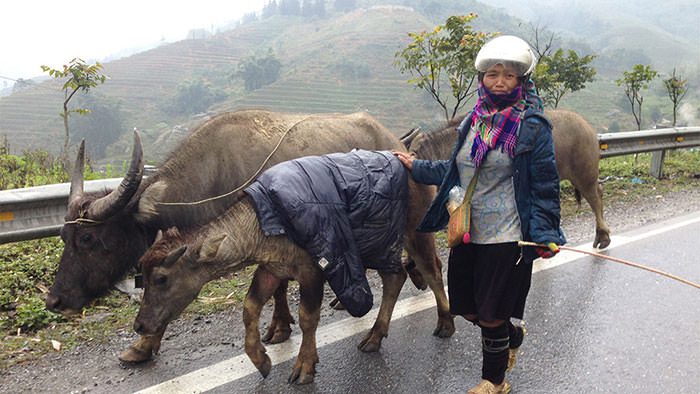 Cuối tuần này, miền Bắc đón đợt rét mạnh nhất từ đầu mùa đông 1