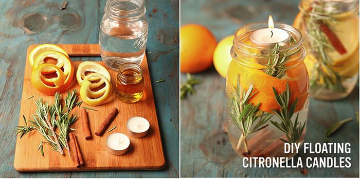 Diệt muỗi phòng chống sốt xuất huyết không cần hóa chất 3