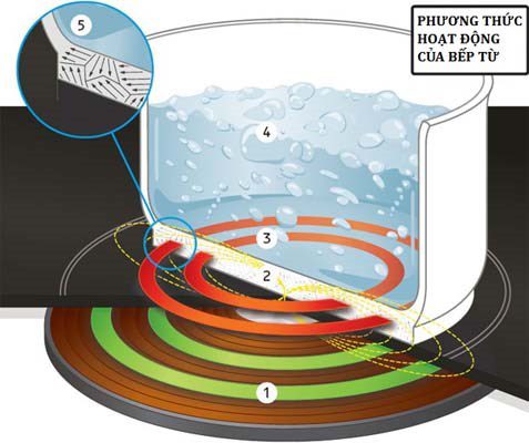 Vì sao bếp từ đôi trở thành xu hướng tất yếu trong các căn bếp gia đình? 003