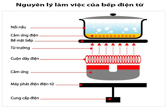 Bếp từ và Bếp hồng ngoại – Tân sinh viên nên chọn loại nào? 003