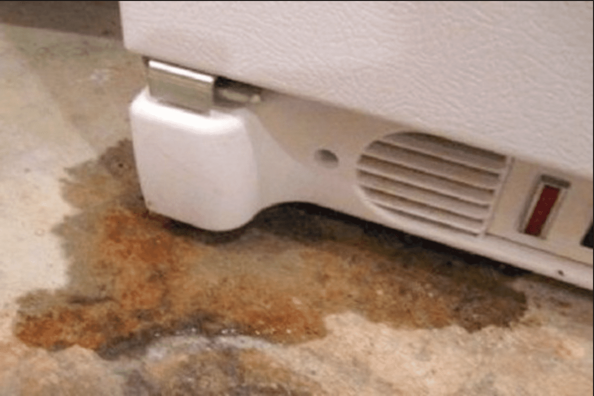 Tủ đông cũ bị chảy nước: Nguyên nhân là do đâu? 01