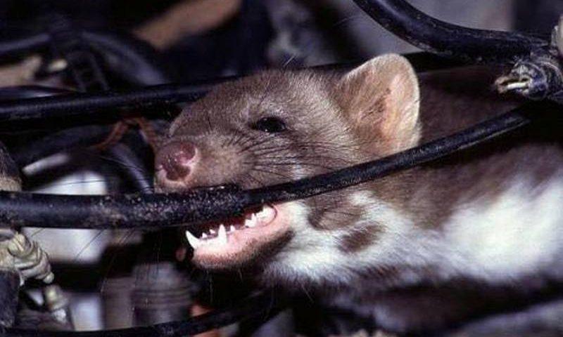 Bình nóng lạnh không vào điện do đâu? Cách khắc phục cực hiệu quả 02