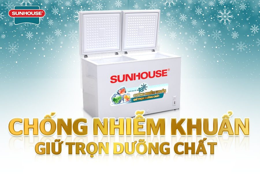 10 tiêu chí chọn mua tủ đông bạn cần biết 01