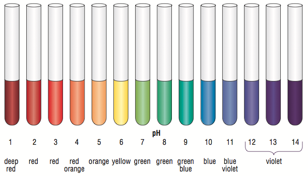 Máy lọc nước ion kiềm giá rẻ có tốt không? 3