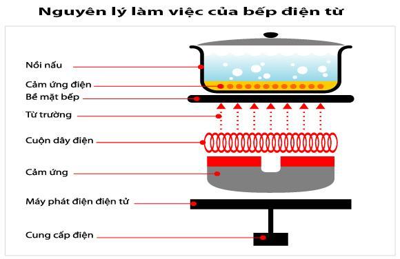 Khám phá những điều cần biết về bếp điện từ hồng ngoại 3