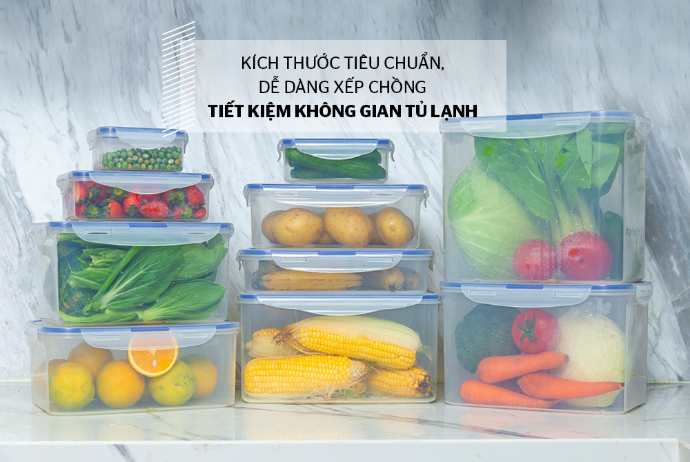 image-20200625145001-6 BỘ 6 HỘP BẢO QUẢN THỰC PHẨM NGĂN MÁT BIOZONE BASIC KB-CO6P01 6