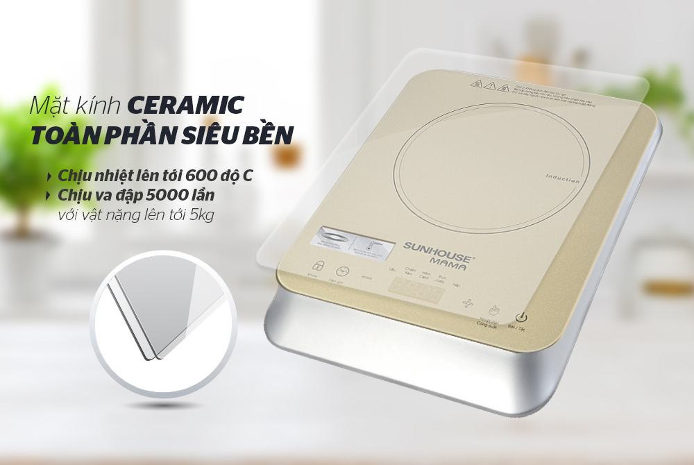 Nằm lòng 3 tuyệt chiêu vệ sinh bếp từ đơn để bếp luôn bền, đẹp như mới 4