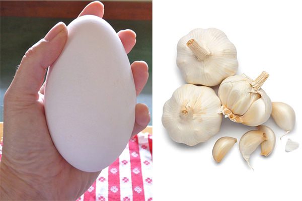 Những thực phẩm cấm kỵ kết hợp 1