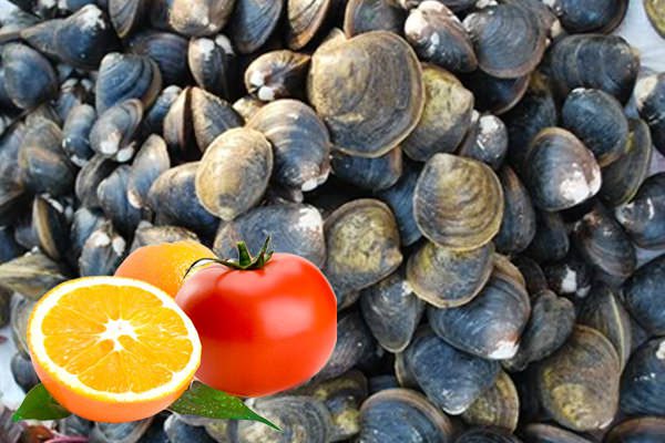 Những thực phẩm cấm kỵ kết hợp 3