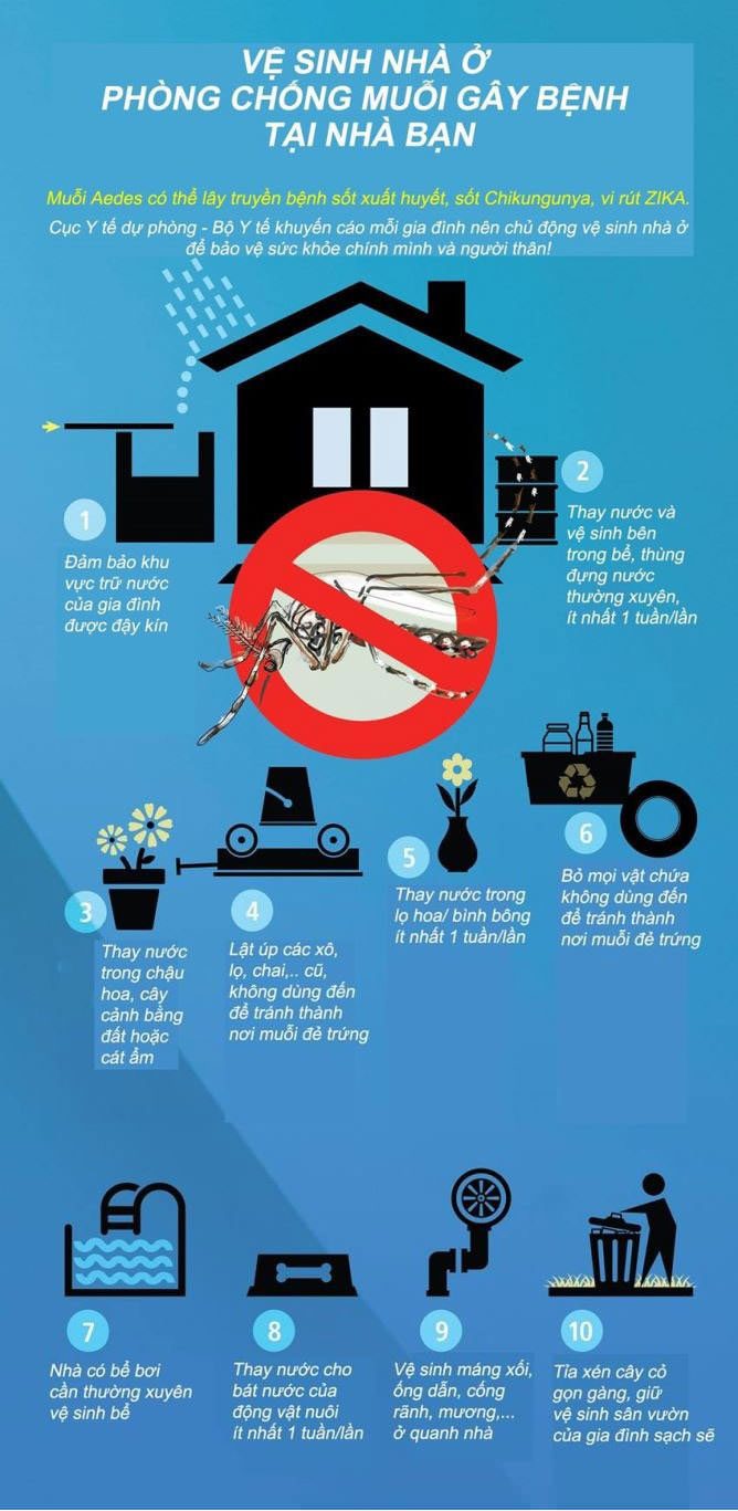 Tổ chức Y tế Thế giới hướng dẫn cách diệt và đuổi muỗi phòng chống sốt xuất huyết