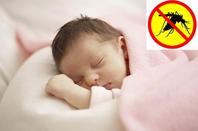 Top các sản phẩm quạt phun sương gia đình có chức năng đuổi muỗi