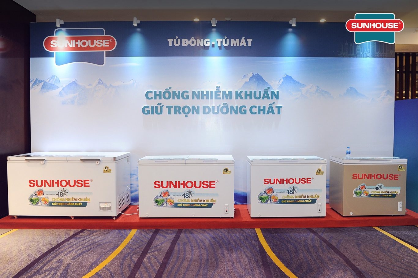 Mua tủ đông loại nào tốt? Những tiêu chí quan trọng giúp bạn đánh giá chất lượng tủ đông 1